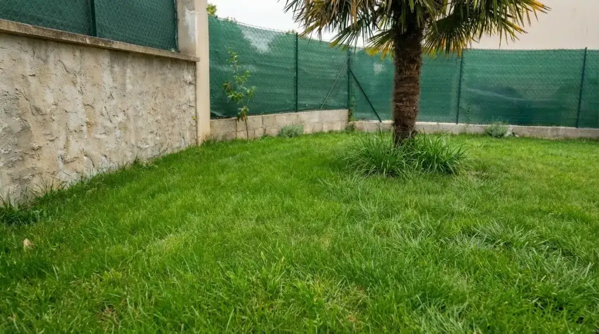 Jardin avant transformation